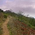 003 250 Peak Trail.jpg