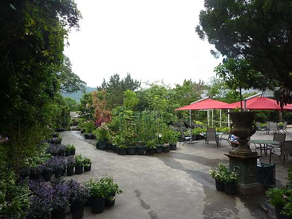 虎爪竹塹 台灣花鳥園 趴趴虎的部落格 痞客邦
