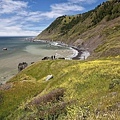 314 320 King Range Cove.jpg