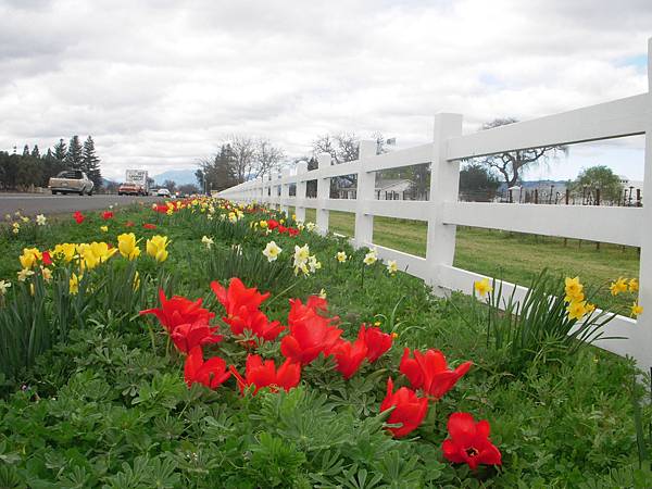 342 010 Highway 29.JPG 342 010 Highway 29.JPG