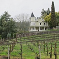 341 430 St Clement Vineyard.jpg