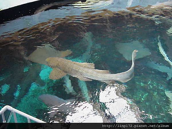 海洋公園-05