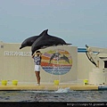 海洋公園-23