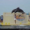 海洋公園-24