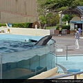 海洋公園-26