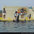 海洋公園-27