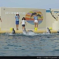 海洋公園-29