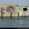 海洋公園-31