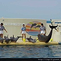 海洋公園-32