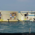 海洋公園-34