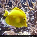 海洋公園-37