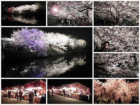 0325-舞鶴公園夜櫻 0325-舞鶴公園夜櫻