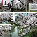 0325-舞鶴公園