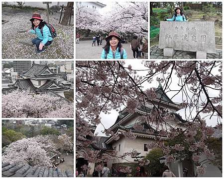 0331-和歌山城-1 0331-和歌山城-1