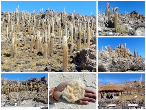 Bolivia-Uyuni10.jpg