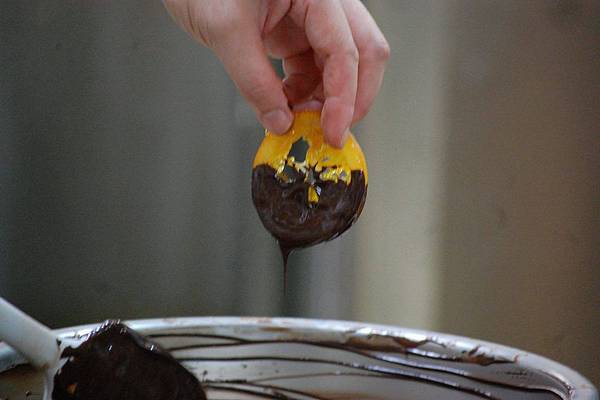 12094971_455230347993428_921854432874982239_o 12094971_455230347993428_921854432874982239_o