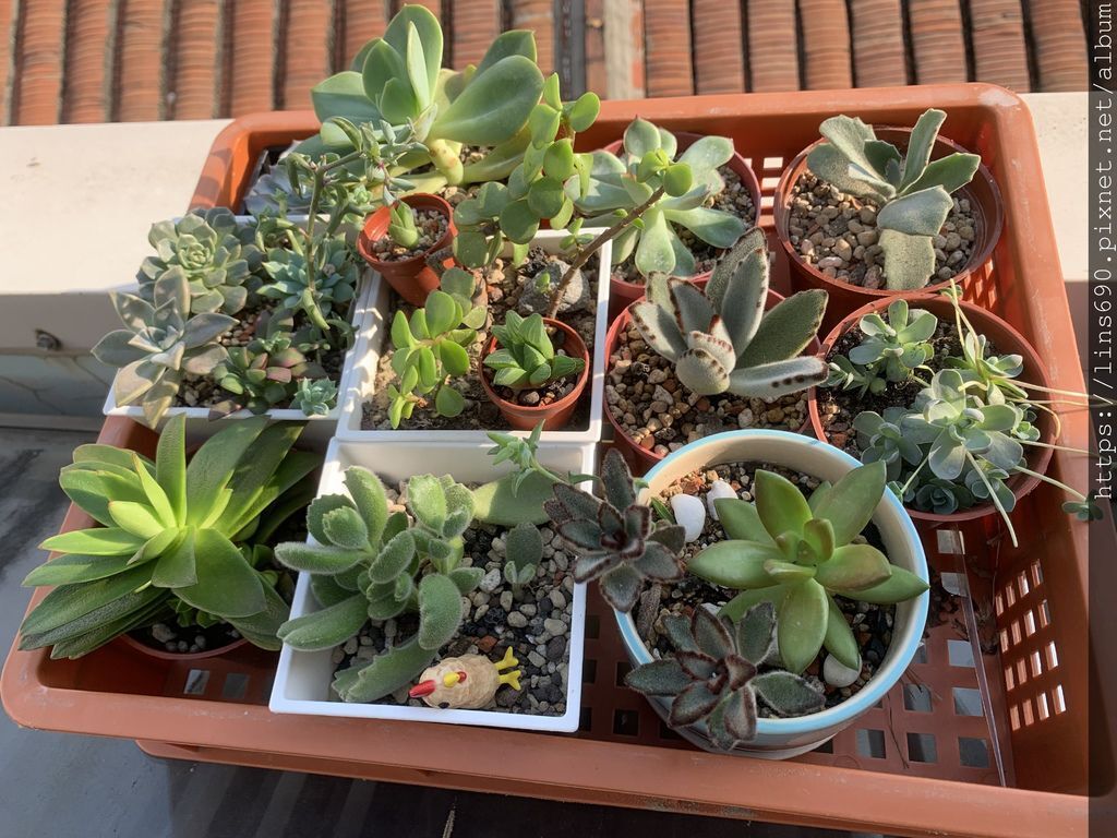 2019-05-10 16.35.33.jpg 2019-05-10 16.35.33.jpg