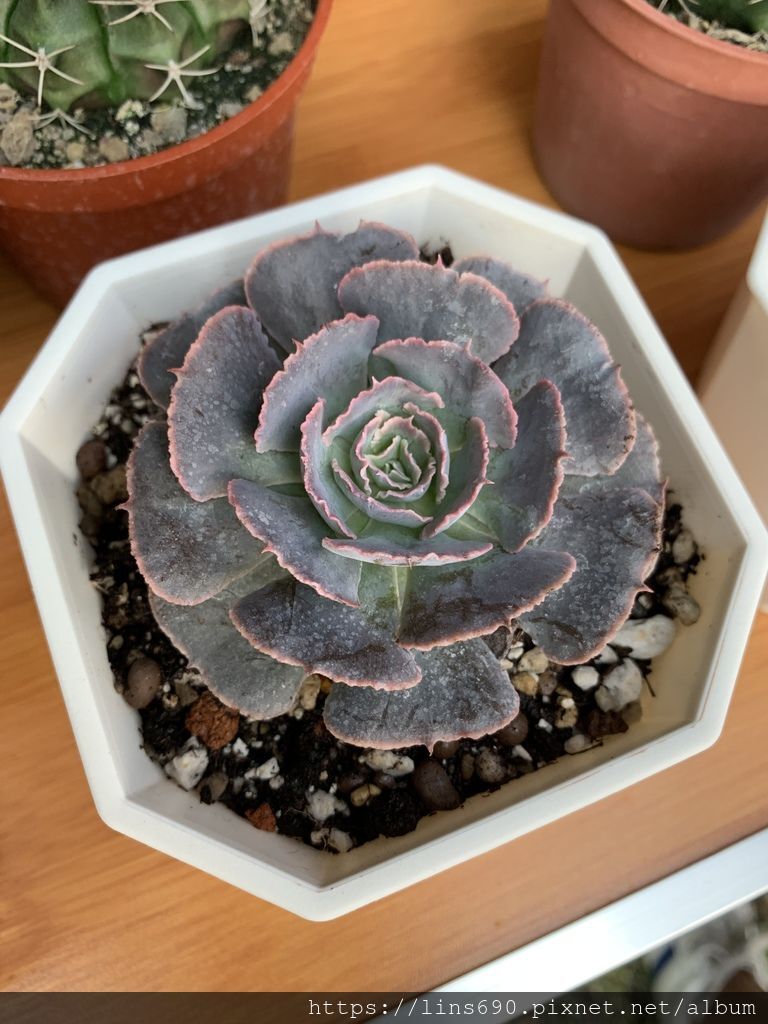 2019-06-15 18.18.07.jpg 2019-06-15 18.18.07.jpg