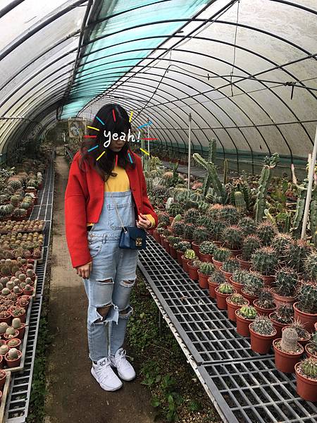 相片 2018-2-11 下午5 29 33.jpg