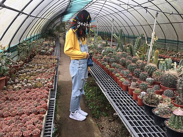 相片 2018-2-11 下午5 28 54.jpg