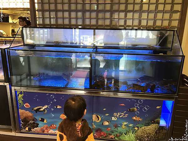 超越活魚活蟹涮涮屋 貪吃日誌 痞客邦 超越活魚活蟹涮涮屋 貪吃日誌 痞客邦
