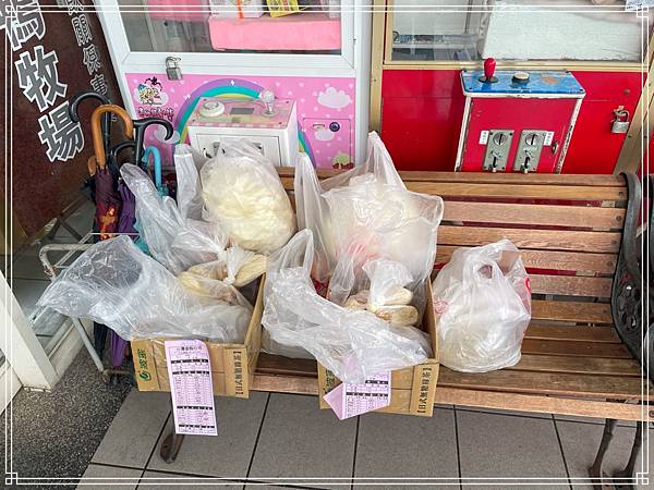 20250131 臺灣番鴨牧場大江店 20250131 臺灣番鴨牧場大江店