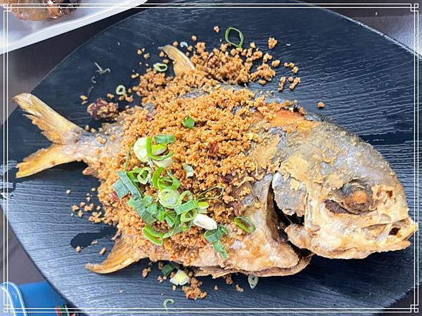 20250131 臺灣番鴨牧場大江店 20250131 臺灣番鴨牧場大江店