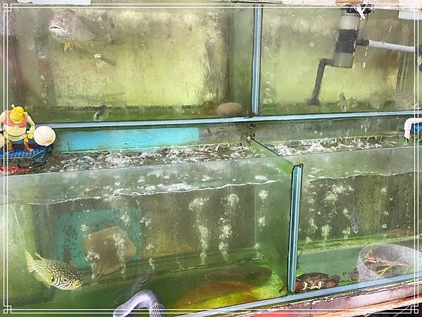 20250315 00九小吃部 20250315 00九小吃部