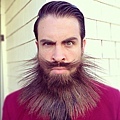 incredibeard8.jpg