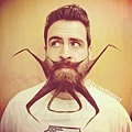 incredibeard9.jpg