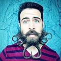 incredibeard10.jpg