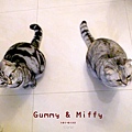 101-0122 Gummy & Miffy