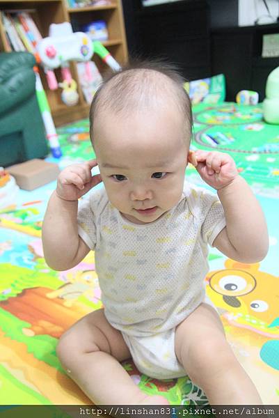 20141003_是在摀耳朵嗎.JPG 20141003_是在摀耳朵嗎.JPG
