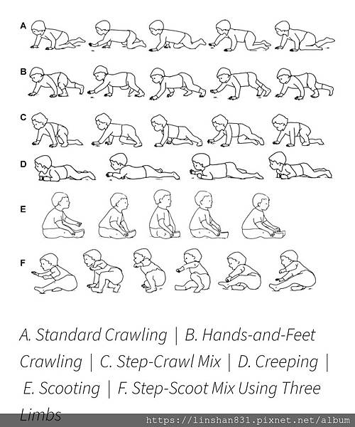 20190513_162442.jpg 20190513_162442.jpg