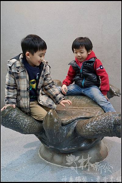 小傑小喬小圓仔開心一起玩（家說會、溜梯、動物園）