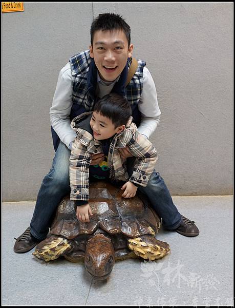 小傑小喬小圓仔開心一起玩（家說會、溜梯、動物園）