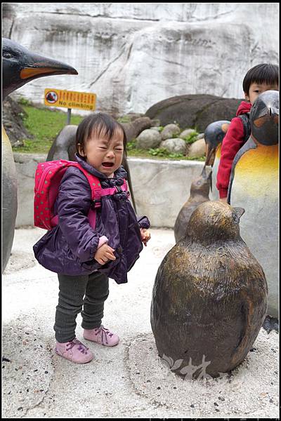 小傑小喬小圓仔開心一起玩（家說會、溜梯、動物園）