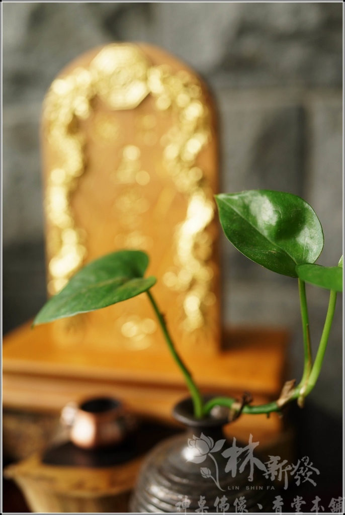 佛道用品（立桌旨令）-五營將軍令/水令/天地渡靈旨/龍虎財旨