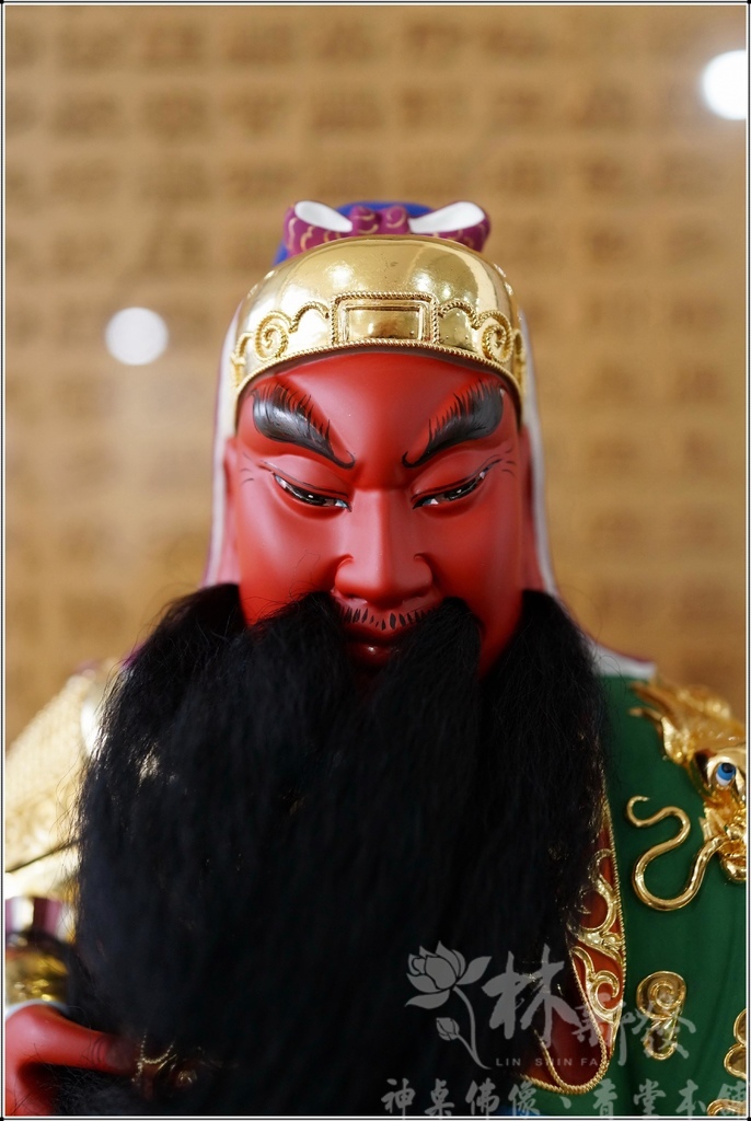 <<再現帝君金身>>四湖參天宮帝君(除蟲害並翻新創作)/龍王