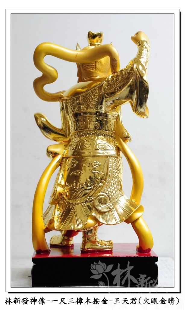 新發神藝-王天君(金相金面/火眼金睛)
