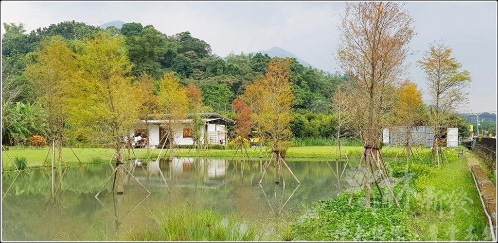 新發神藝-無極三清道祖(盤龍體三清)