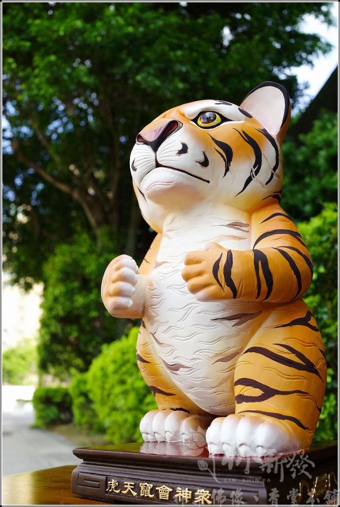 新發神藝-虎爺王者三本柱(萌天虎．戰天虎．向天君)