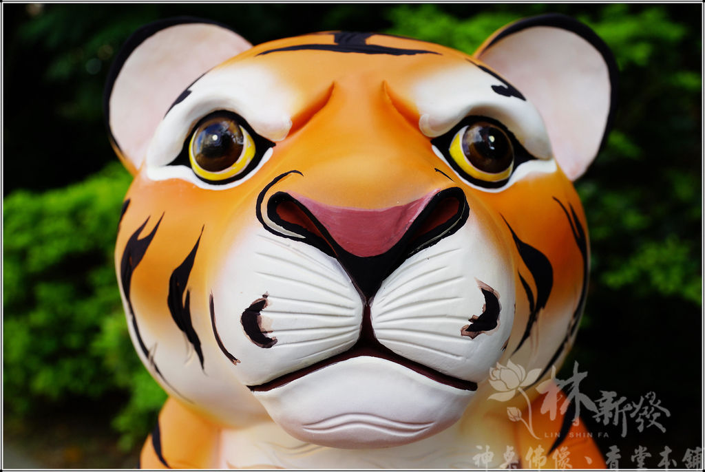 新發神藝-虎爺王者三本柱(萌天虎．戰天虎．向天君)