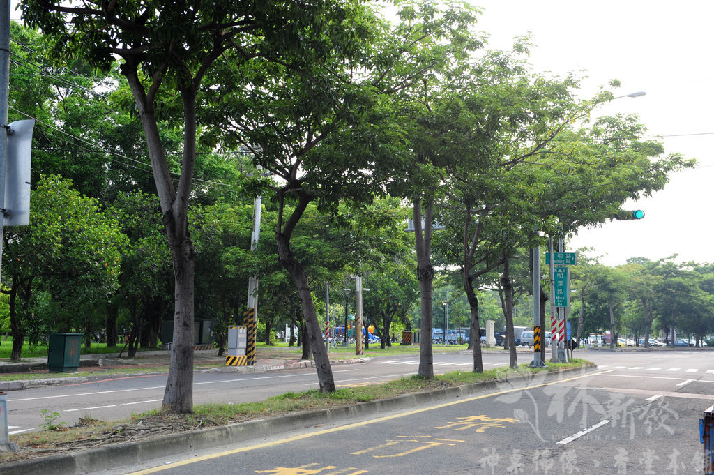 林新發神桌-二尺九黑紫檀禪風+福祿壽雕刻祖聯_021.jpg 林新發神桌-二尺九黑紫檀禪風+福祿壽雕刻祖聯_021.jpg