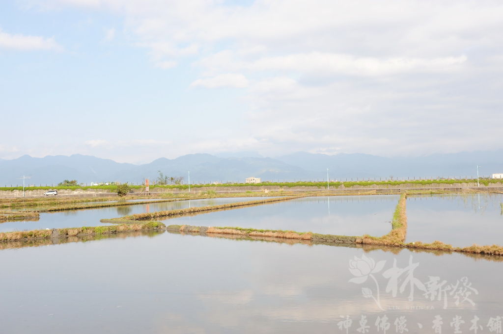 七尺黑紫桶桌-03.JPG 七尺黑紫桶桌-03.JPG