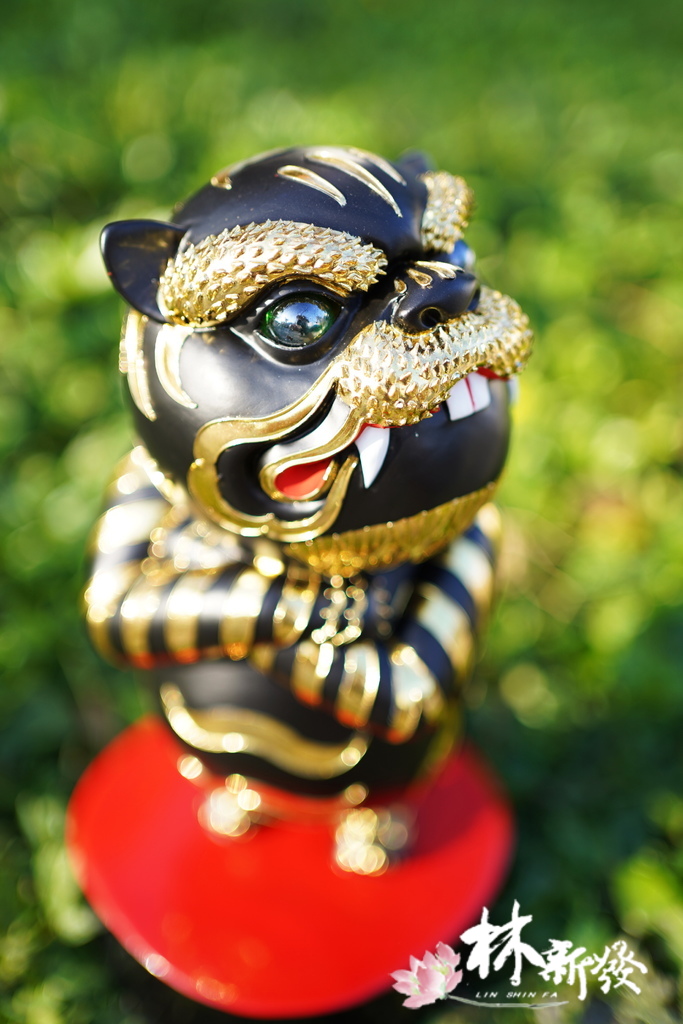 QQ虎來了(小朋友的守護神)-007.JPG QQ虎來了(小朋友的守護神)-007.JPG