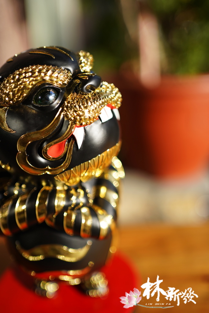 QQ虎來了(小朋友的守護神)-011.JPG QQ虎來了(小朋友的守護神)-011.JPG