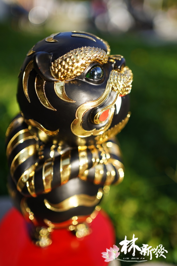 QQ虎來了(小朋友的守護神)-010.JPG QQ虎來了(小朋友的守護神)-010.JPG