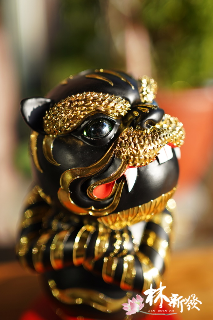 QQ虎來了(小朋友的守護神)-012.JPG QQ虎來了(小朋友的守護神)-012.JPG