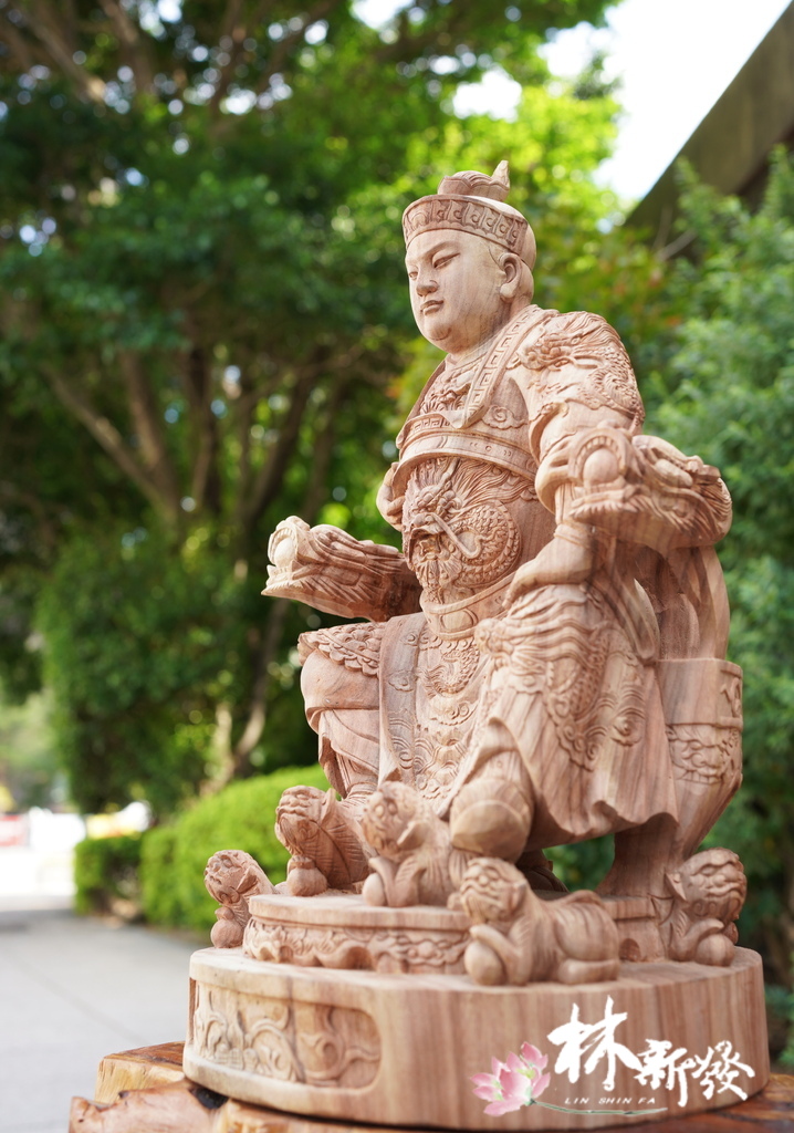 DSC00003.JPG DSC00003.JPG